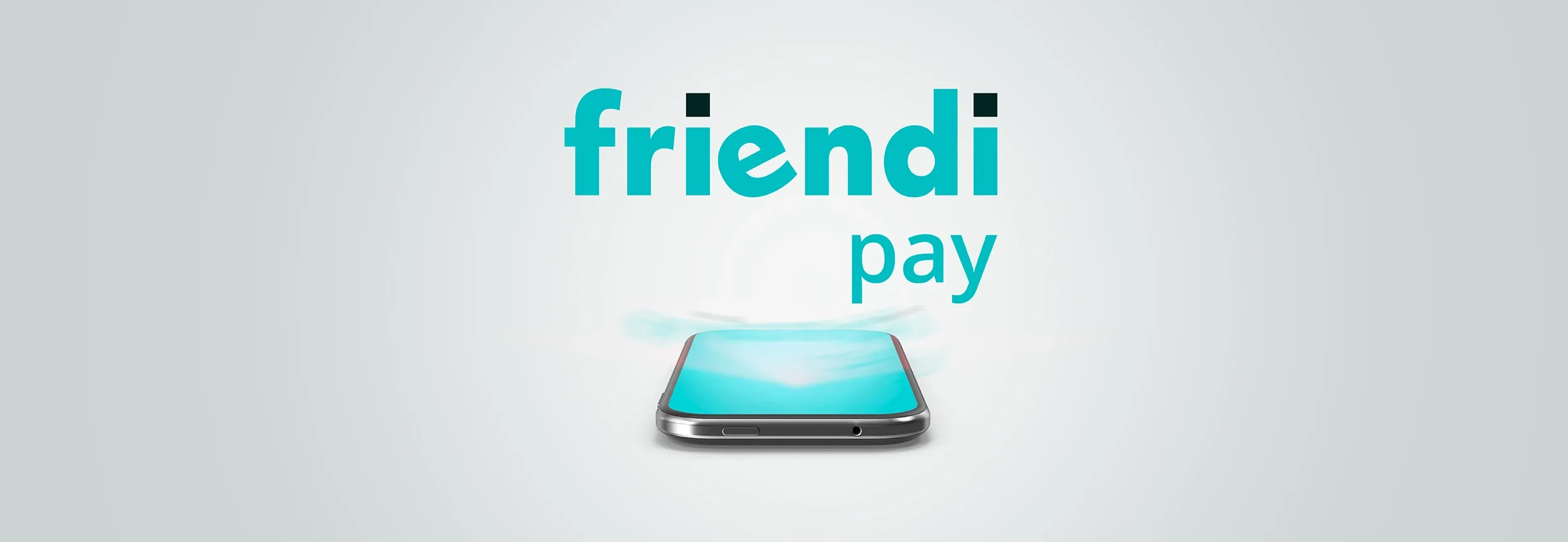 friendi-pay-anner-01